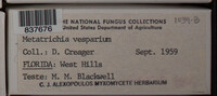 Image Associated With the Occurence